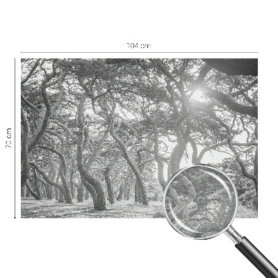 Baby room wall mural with an atmospheric forest design