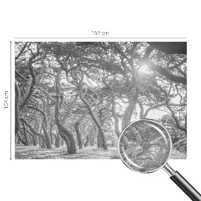 Baby room wall mural with an atmospheric forest design
