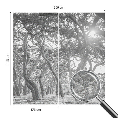 Baby room wall mural Atmospheric forest