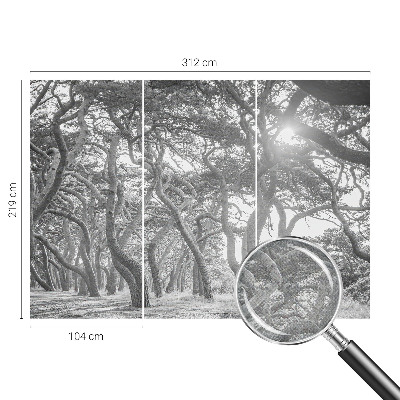 Baby room wall mural with an atmospheric forest design