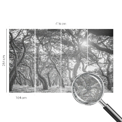 Baby room wall mural Atmospheric forest