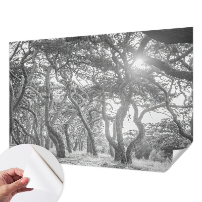Baby room wall mural with an atmospheric forest design