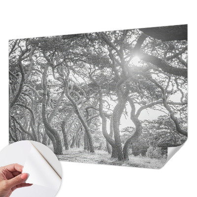 Baby room wall mural with an atmospheric forest design