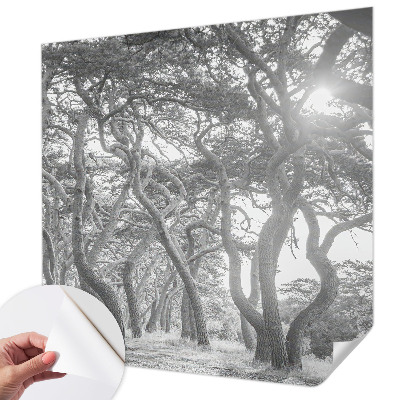 Baby room wall mural with an atmospheric forest design