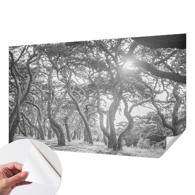 Baby room wall mural with an atmospheric forest design