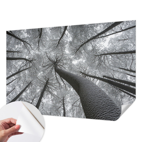 Self-adhesive photo wallpaper with a winter landscape motif