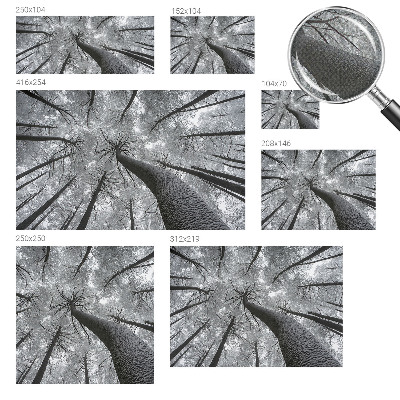 Self-adhesive photo wallpaper Winter landscape