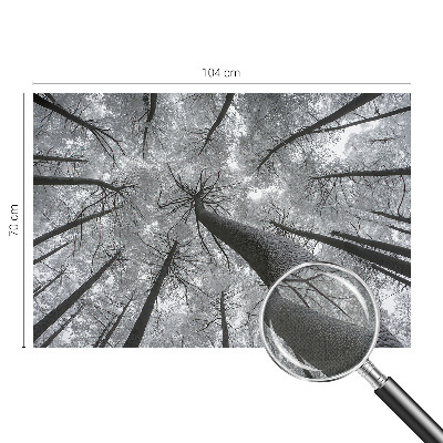 Self-adhesive photo wallpaper with a winter landscape motif