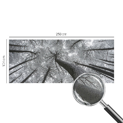 Self-adhesive photo wallpaper with a winter landscape motif