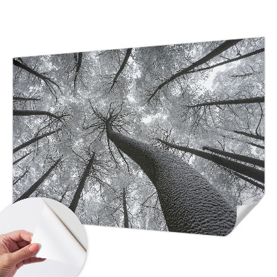 Self-adhesive photo wallpaper with a winter landscape motif