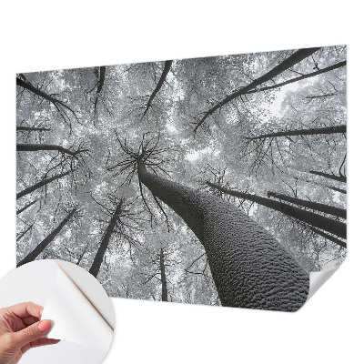 Self-adhesive photo wallpaper with a winter landscape motif