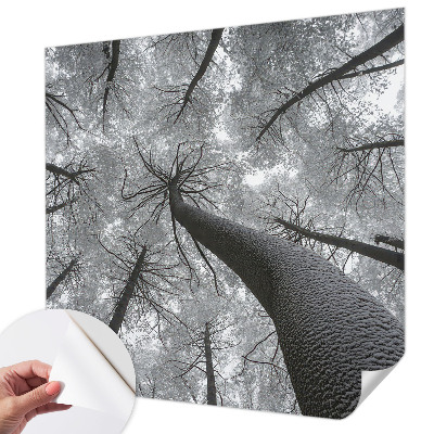 Self-adhesive photo wallpaper with a winter landscape motif