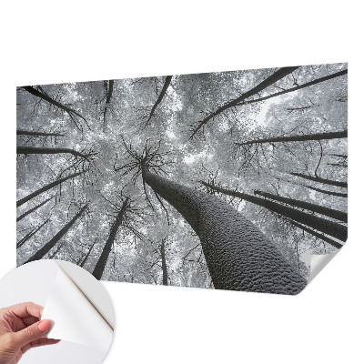 Self-adhesive photo wallpaper with a winter landscape motif