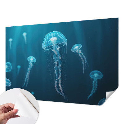 Removable wall mural wallpaper featuring a maritime elegant design