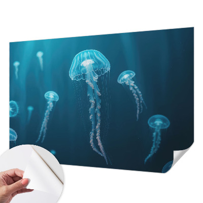 Removable wall mural wallpaper featuring a maritime elegant design