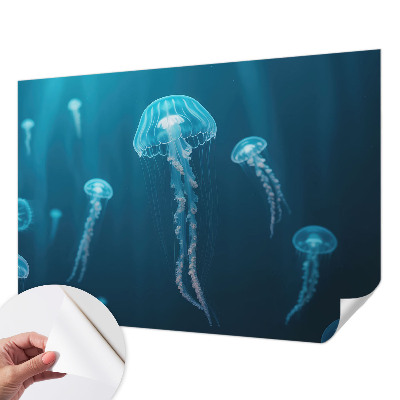 Removable wall mural wallpaper featuring a maritime elegant design