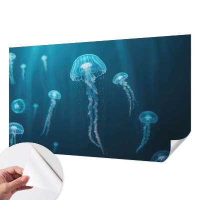 Removable wall mural wallpaper featuring a maritime elegant design