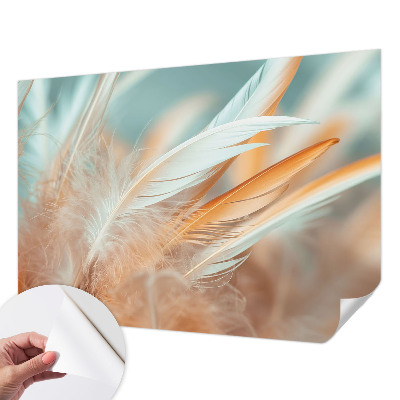Peel and stick wall mural for living room Delicate feathers