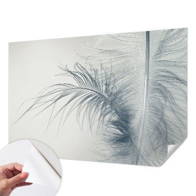 3D photo wallpaper mural with a delicate feather design