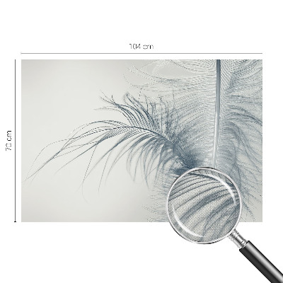3D photo wallpaper mural with a delicate feather design