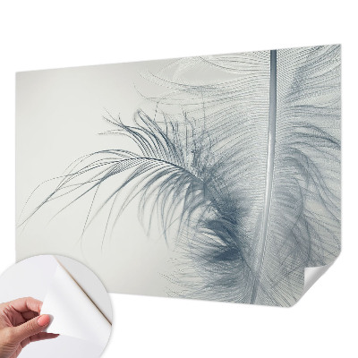 3D photo wallpaper mural with a delicate feather design