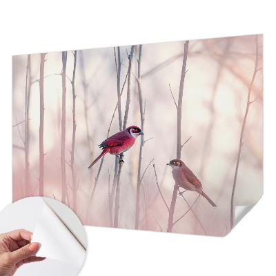 Self-adhesive photo wallpaper with a pair of birds