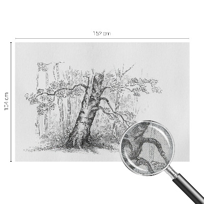 Removable wall mural wallpaper Forest tree