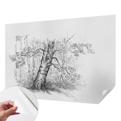 Removable wall mural wallpaper with a forest tree design