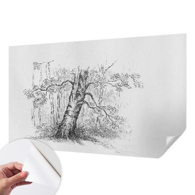 Removable wall mural wallpaper with a forest tree design
