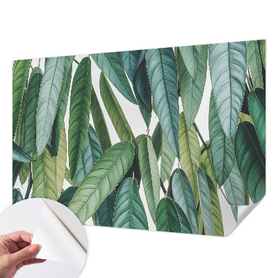 Peel and stick wall mural for living room with a natural leaves design