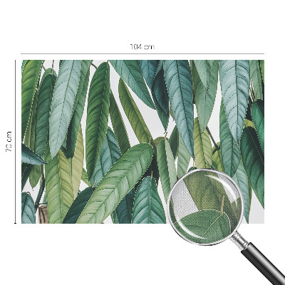 Peel and stick wall mural for living room with a natural leaves design