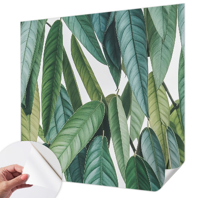 Peel and stick wall mural for living room with a natural leaves design