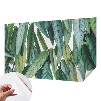 Peel and stick wall mural for living room with a natural leaves design