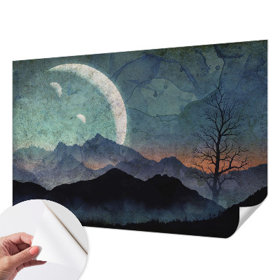 Self-adhesive wall mural featuring a night landscape