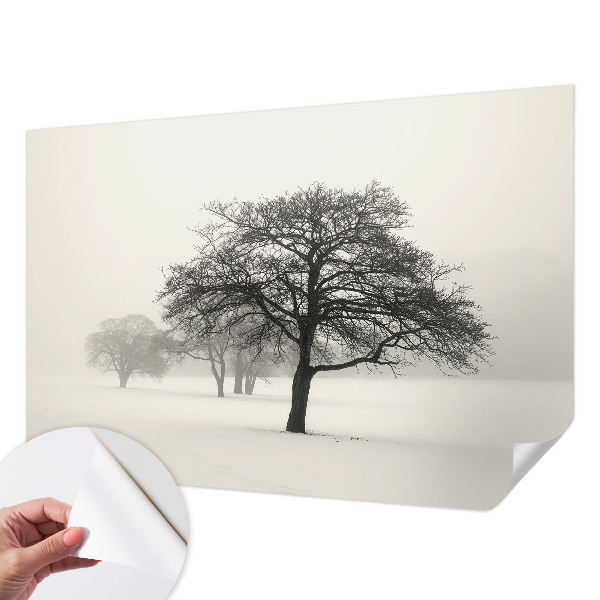 3D wall mural with a winter trees design