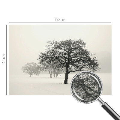 3D wall mural with a winter trees design