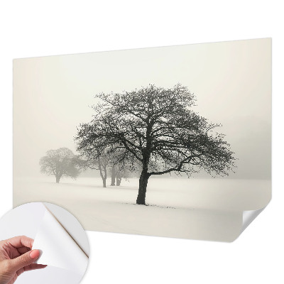 3D wall mural with a winter trees design