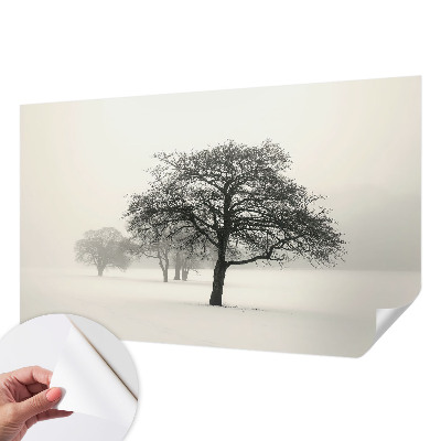 3D wall mural with a winter trees design
