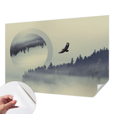 Removable wall mural Forest landscape