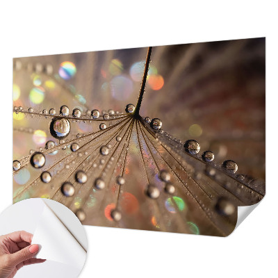Peel and stick wall mural for living room with a pearl drops pattern