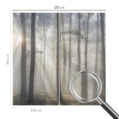 Children's wall mural Ethereal Forest