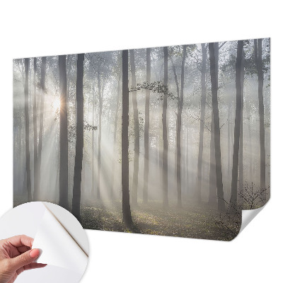 Children's wall mural Ethereal Forest
