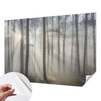 Children's wall mural with an ethereal forest design