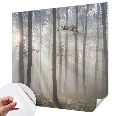 Children's wall mural with an ethereal forest design