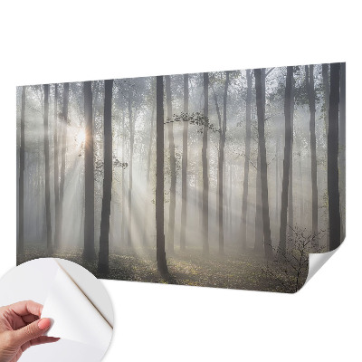Children's wall mural with an ethereal forest design