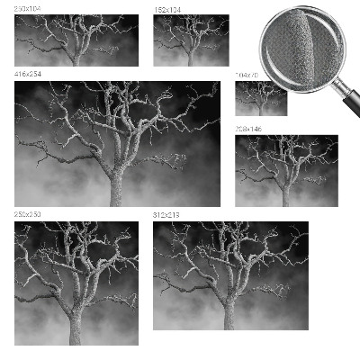 Nursery wall mural with a misty tree design