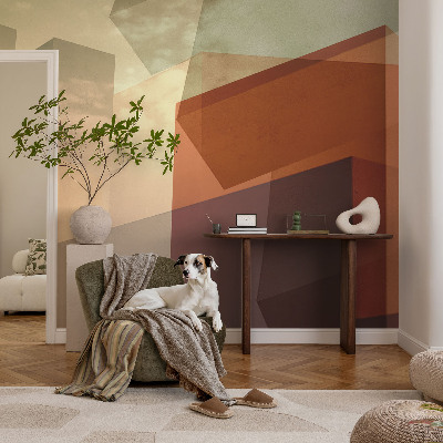 Peel and stick wall mural with an abstract shapes design