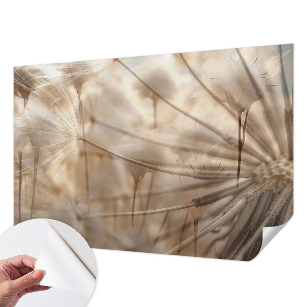Peel and stick wall mural for kids' room Subtle dandelions