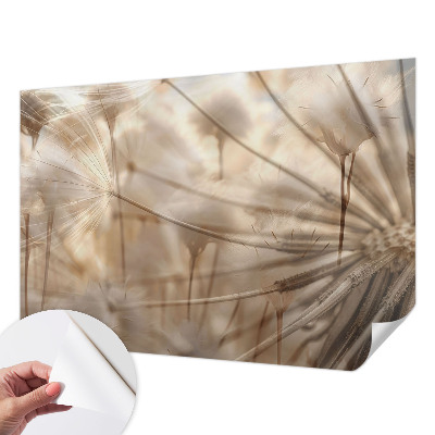 Peel and stick wall mural for kids' room with a subtle dandelion pattern