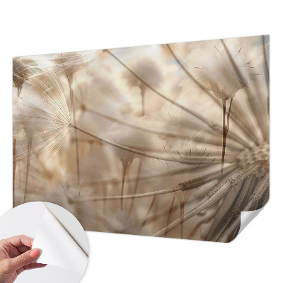 Peel and stick wall mural for kids' room Subtle dandelions